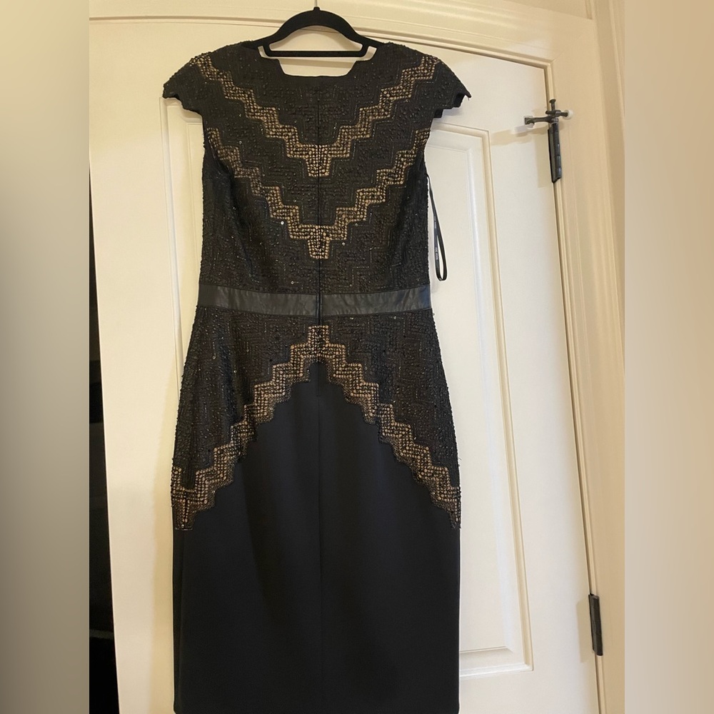 Tadashi shoji dress 6